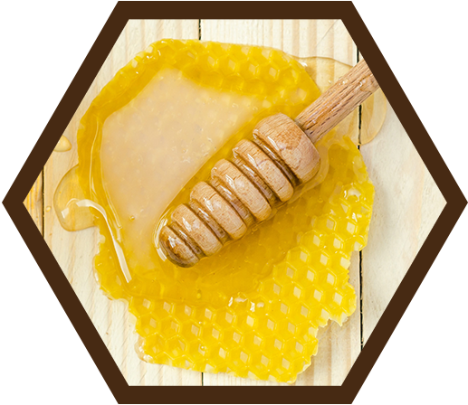 Honig Honiglöffel und Bienenwabe
